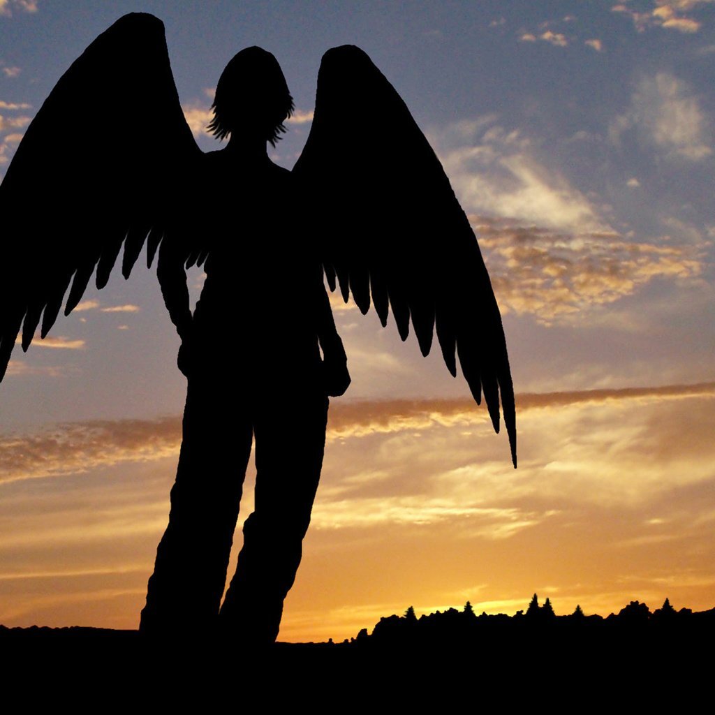 Картинка из открытого доступа