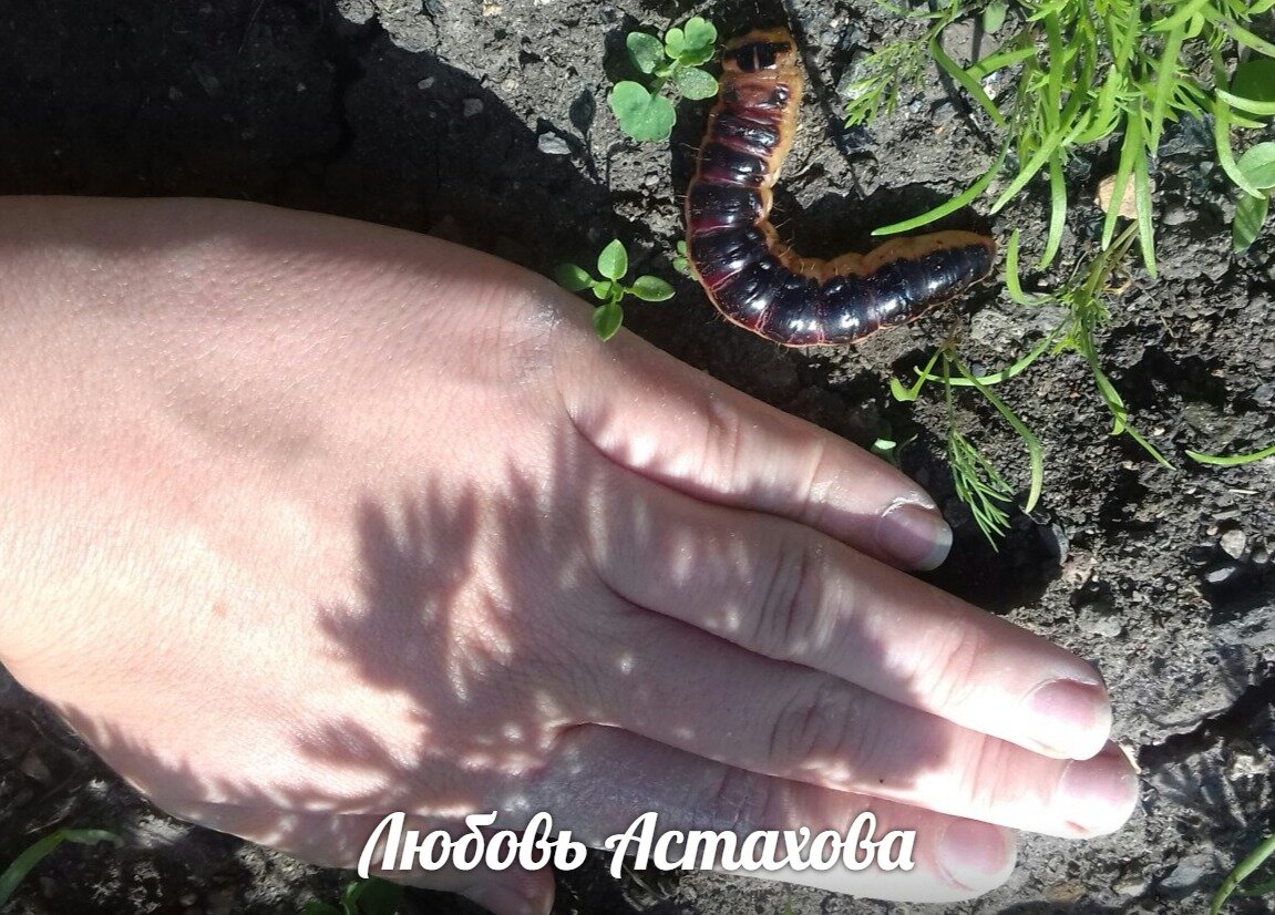 В этот момент нам кажется, что проблемы настолько огромные и вот-вот раздавят нас, мы лихорадочно ищем выход.