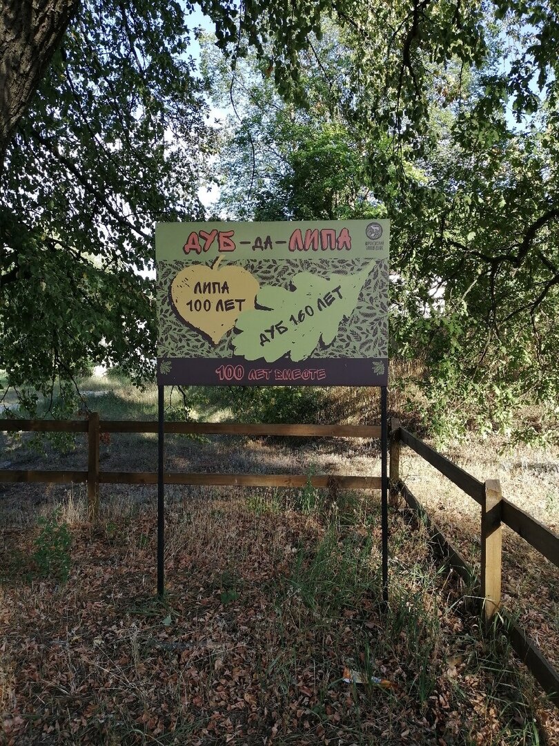 Информационная табличка. Дуб - да - Липа.