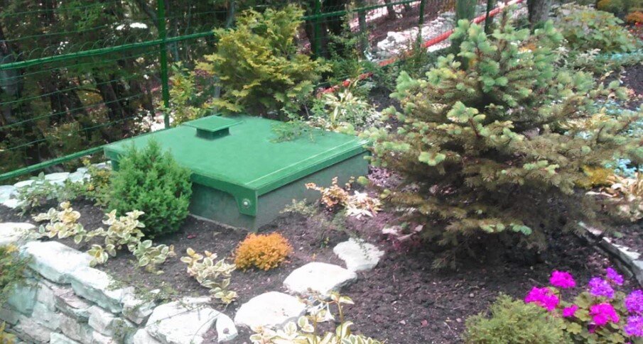 облагороженный септик - камни, ёли, альпийские дачные растения