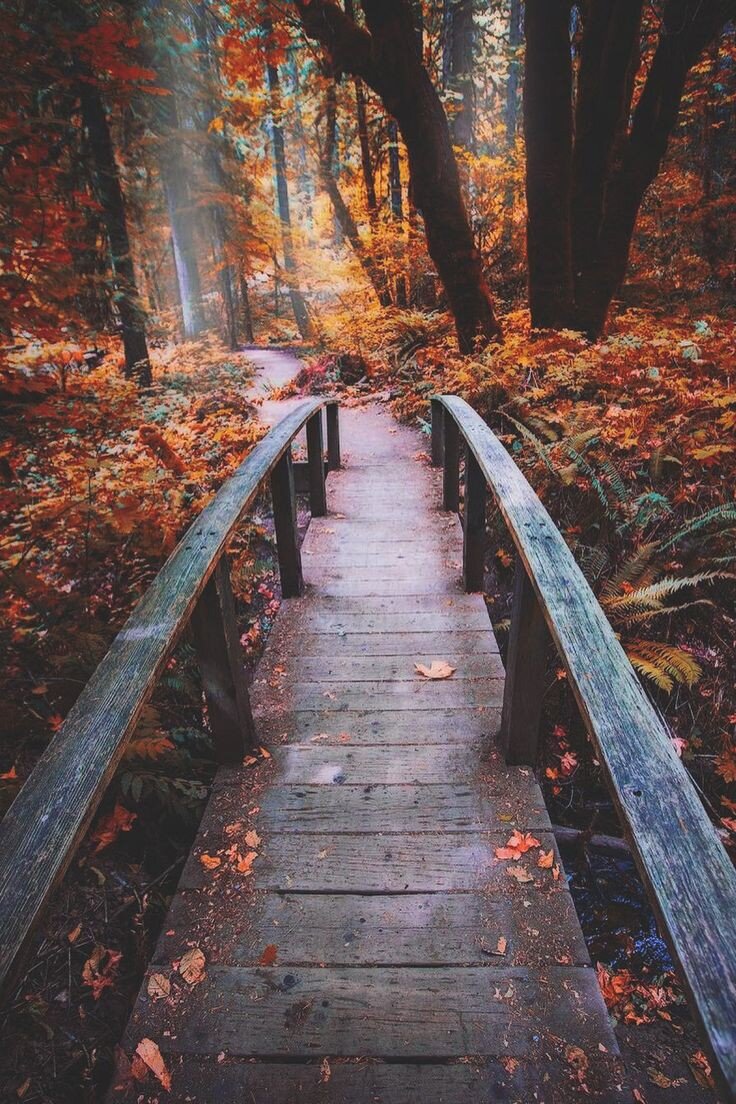 Взято с интернета