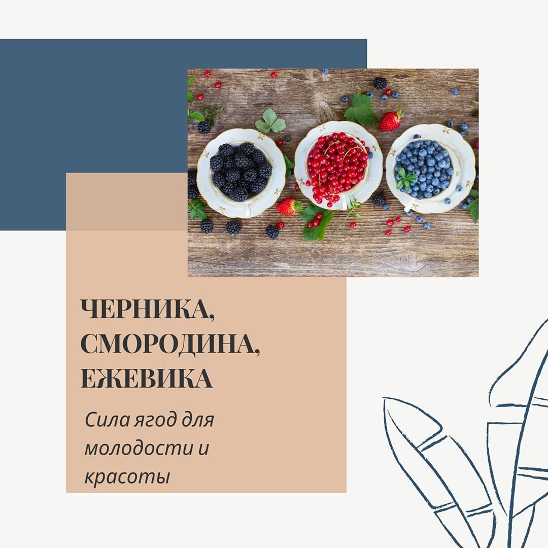 ЕСТЬ В КАЙФ И С ПОЛЬЗОЙ НЕ СЧИТАЯ КАЛОРИЙ