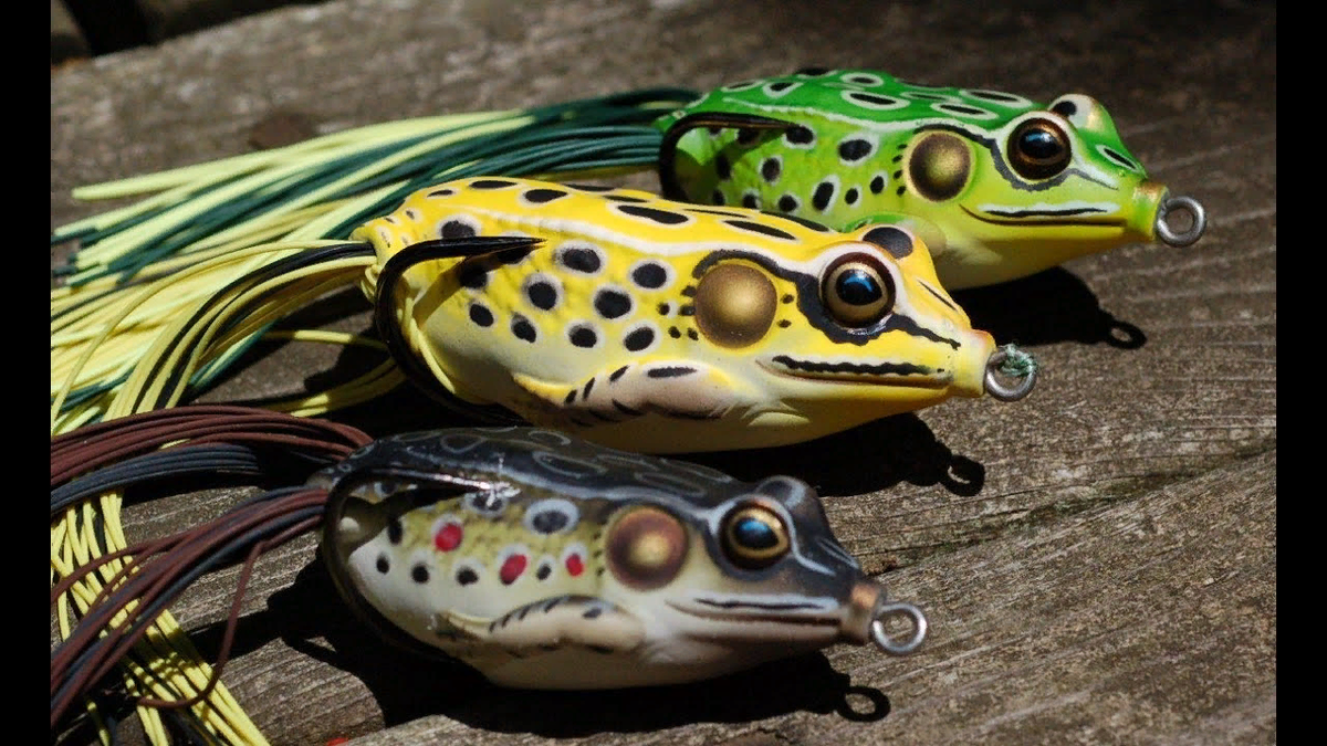 Лягушка-незацепляйка — это искусственная приманка, имитирующая живую лягушку и предназначенная для ловли хищной рыбы спиннингом. 
