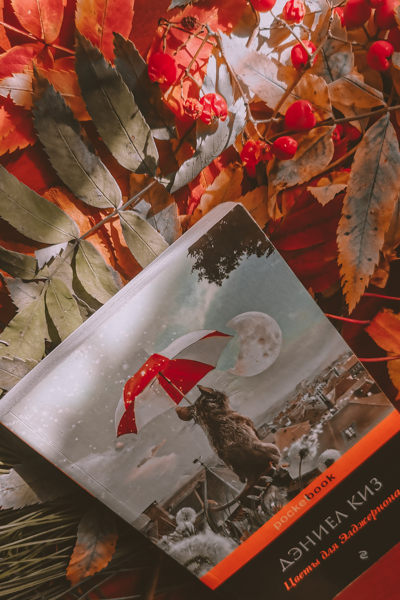 Дэниел Киз "Цветы для Элджернона" 
Эта книга, одновременно грандиозная и доступная, входит в программу обязательного чтения в американских школах. 
Чарли Гордон, умственно отсталый, способный лишь мыть полы и чистить туалеты, превращается в гения путем экспериментальной операции. Вот только у мыши Элджернона, которой сделали такую же операцию, начинаетсяЭми регрессии. 