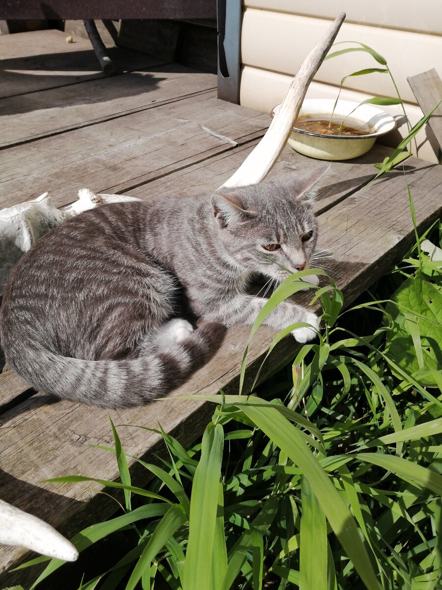 Все фотографии сделаны в этом году, ранее просто не удавалось 