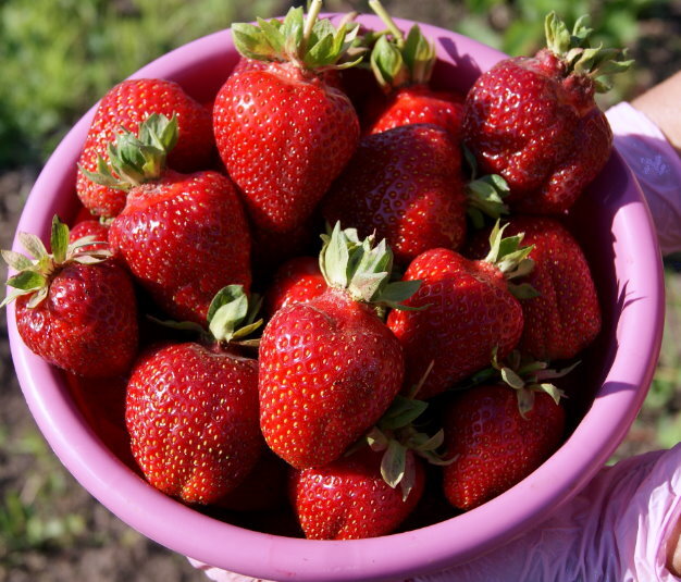 Азия. Хит на все времена