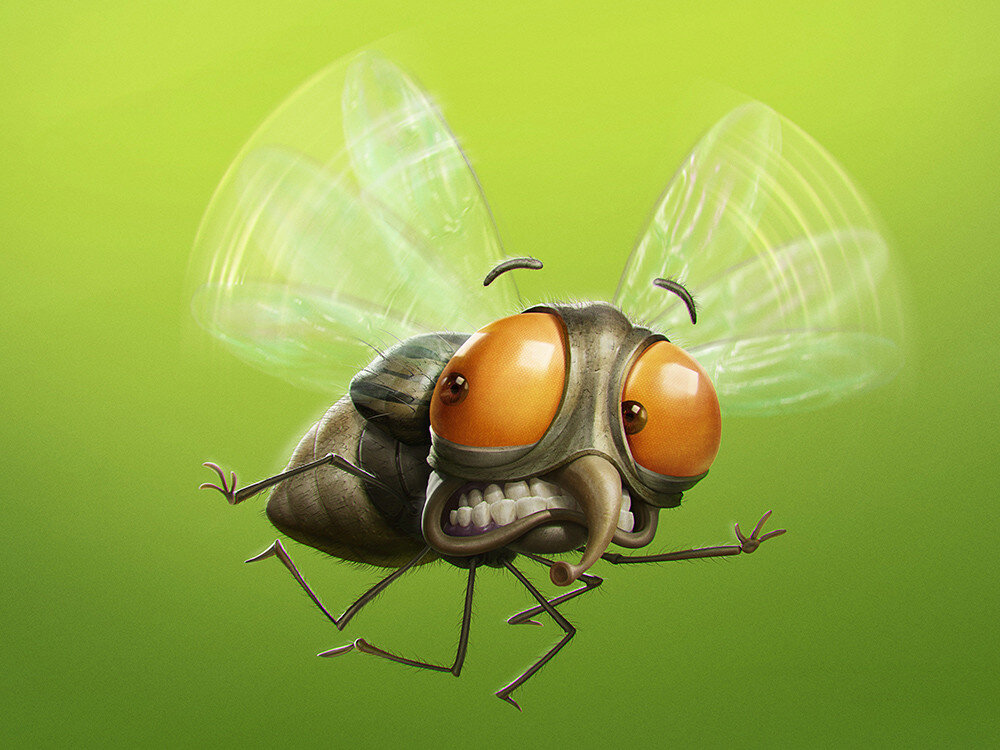 Муха-цокотуха