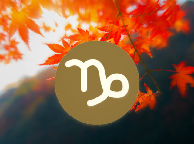 На этой неделе придется быть настойчивее и целеустремлённее, чем обычно.