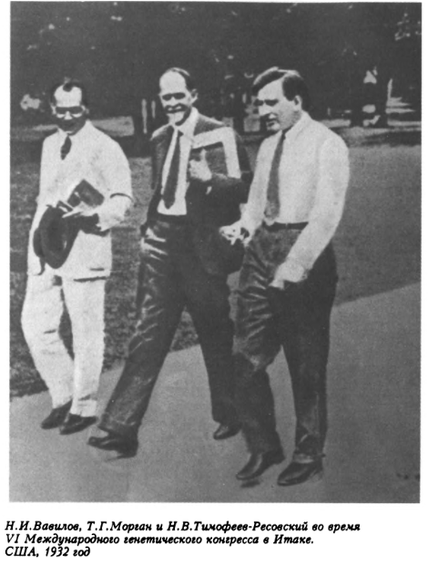 Фото из книги: Тимофеев-Ресовский Н.В. Воспоминания. М., 1995