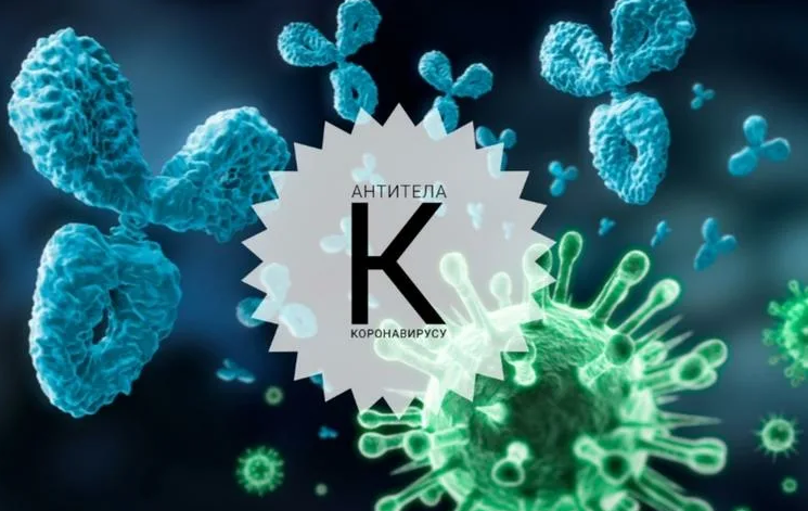 Антитела на коронавирус