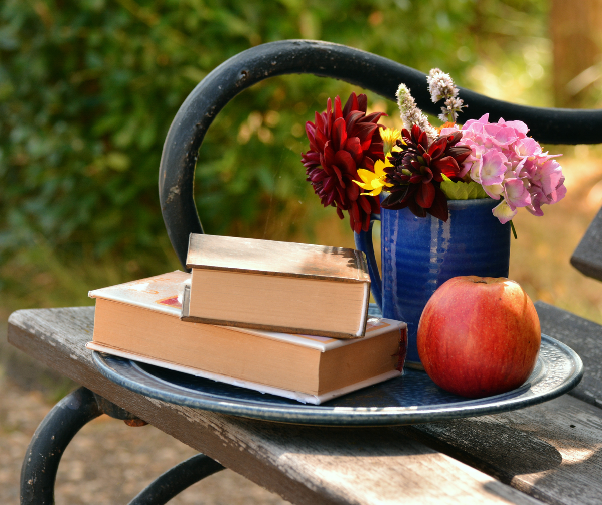 Творчество на лавочке в саду