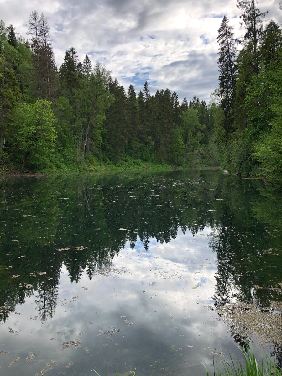 Лопухинка купальня