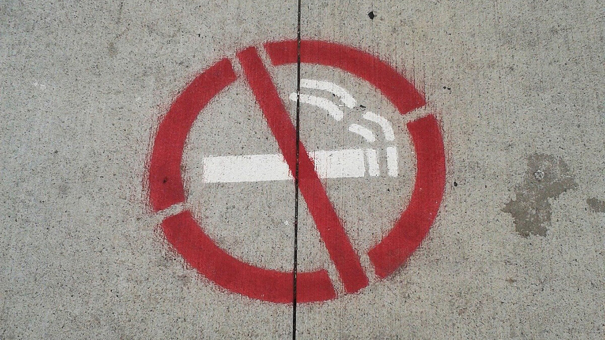 Фото: Valynn Hinds/Pixabay