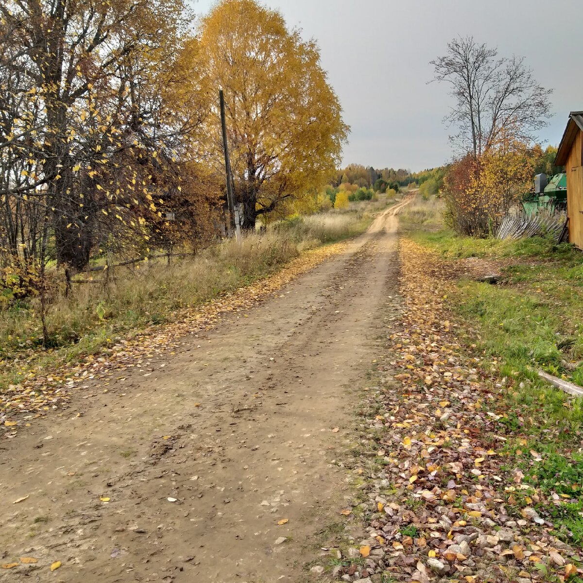 Окраина деревни, золотая осень