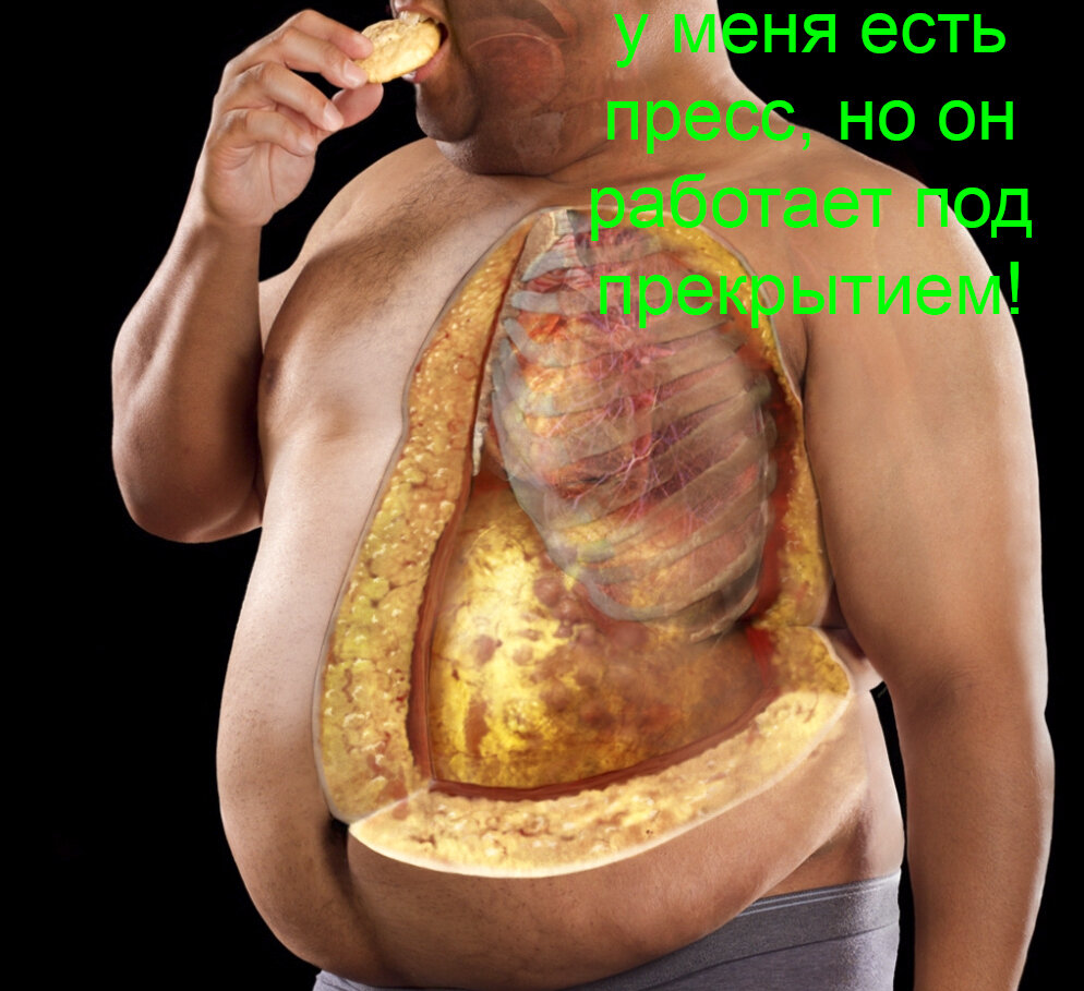 Скачано из сервиса "Яндекс картинки"
