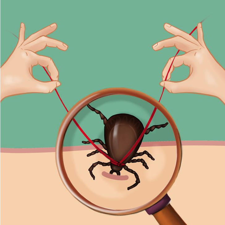 © Бери и Делай