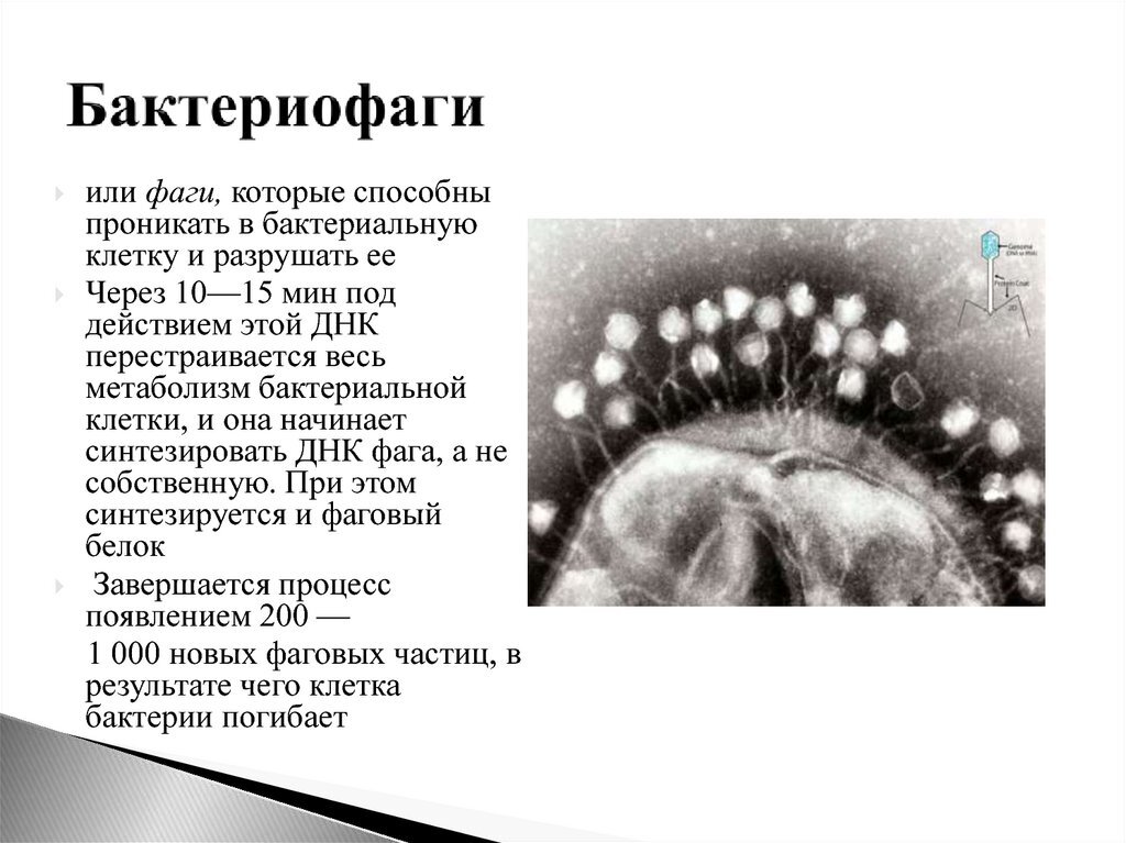 Взято из открытых источников