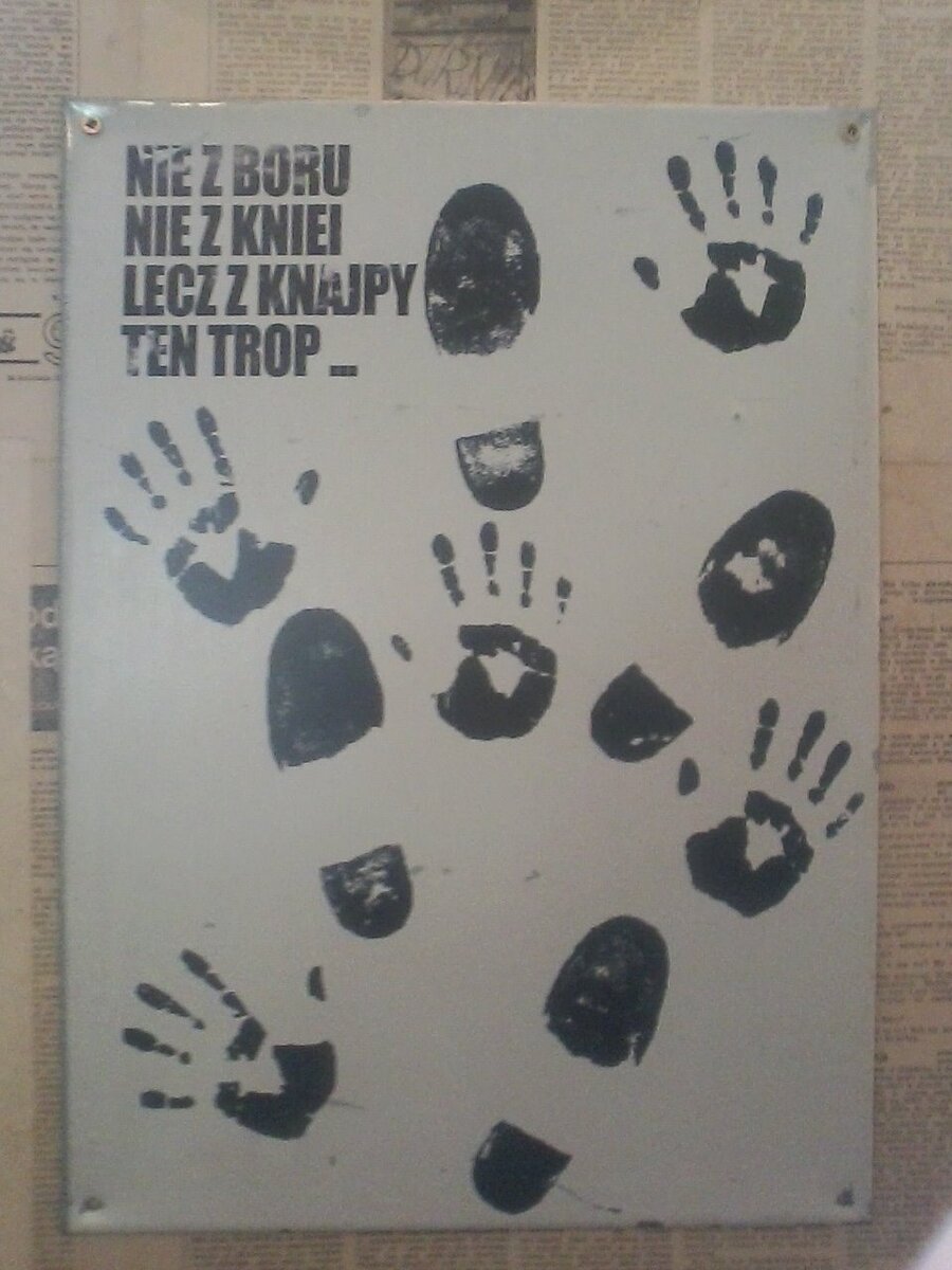 Не из бора, не из чащи, а из кнайпы та тропа.