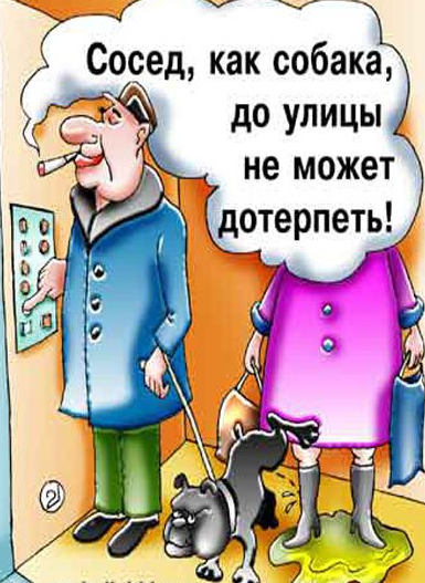 (взято из интернета)