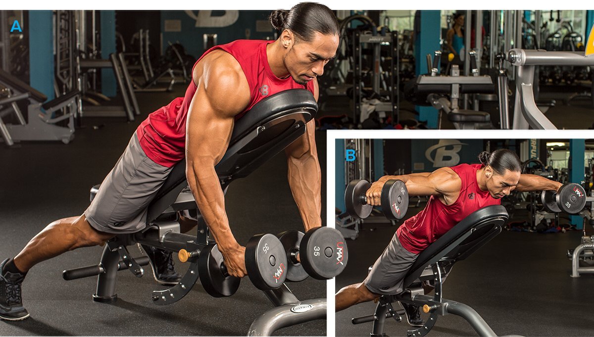 Seated Rear delt Dumbbell Fly