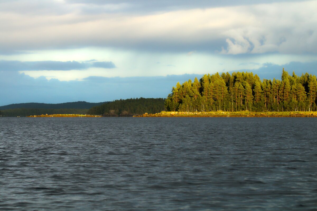 Перед грозой