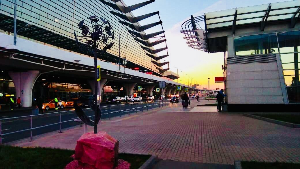 символ Доброты в аэропорту Внуково 