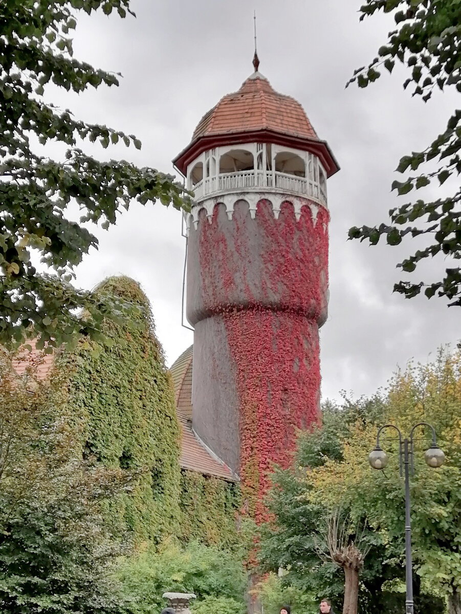 Водонапорная башня Светлогорск