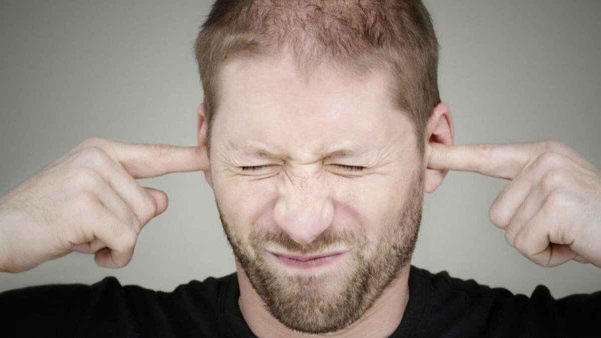 Негативное влияние шума (фото взято из открытых источников)