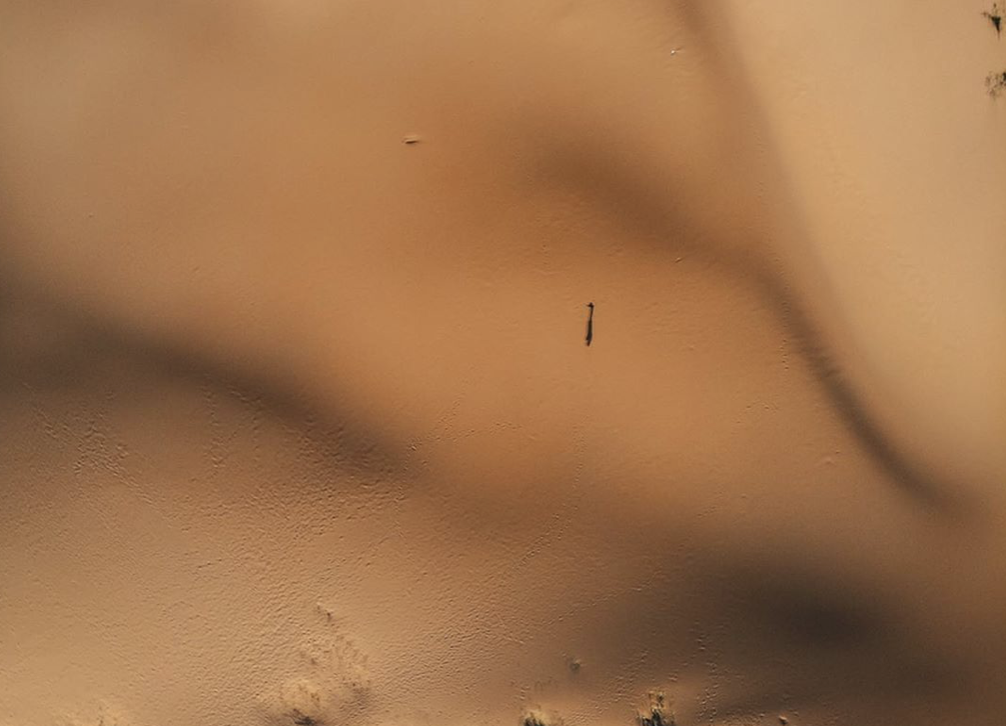 Фото: @re6ka, instagram.com*