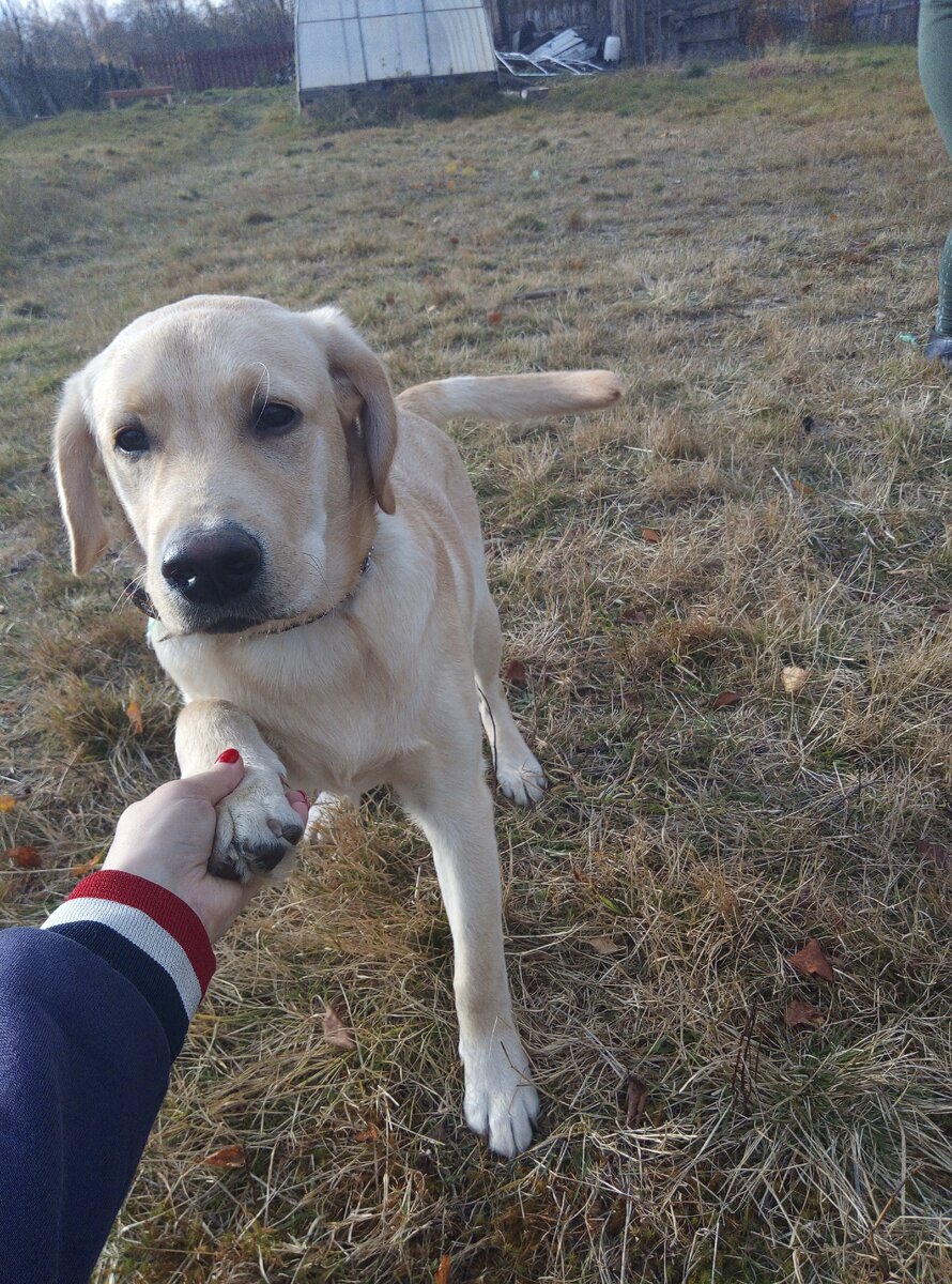 Фото автора.