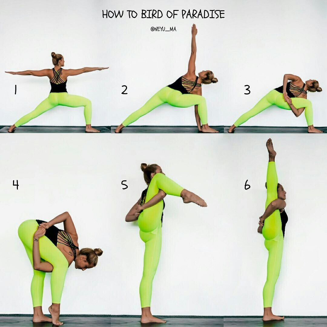Источник фото: Instagram @yogafornewbie