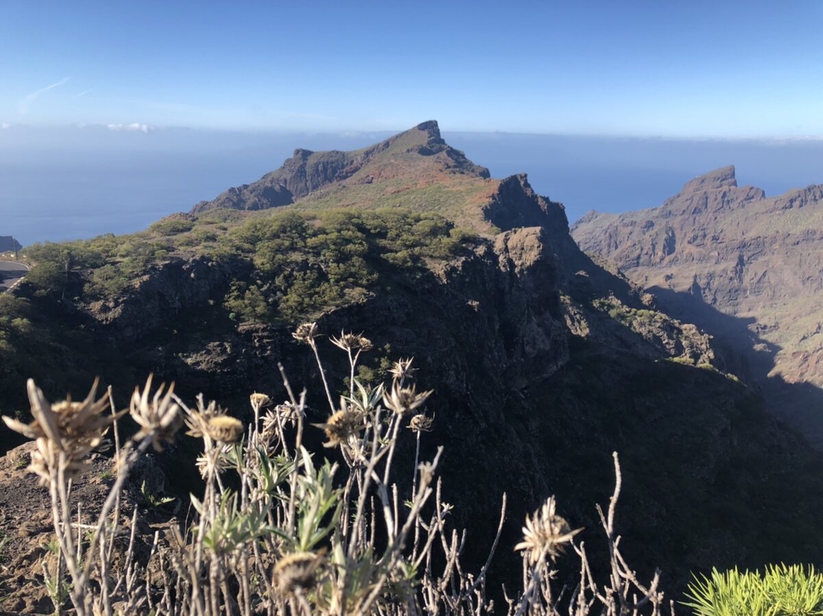 Фото: Полит-Профит