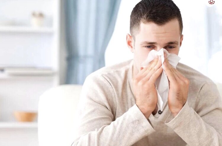 Фото из Яндекс картинки