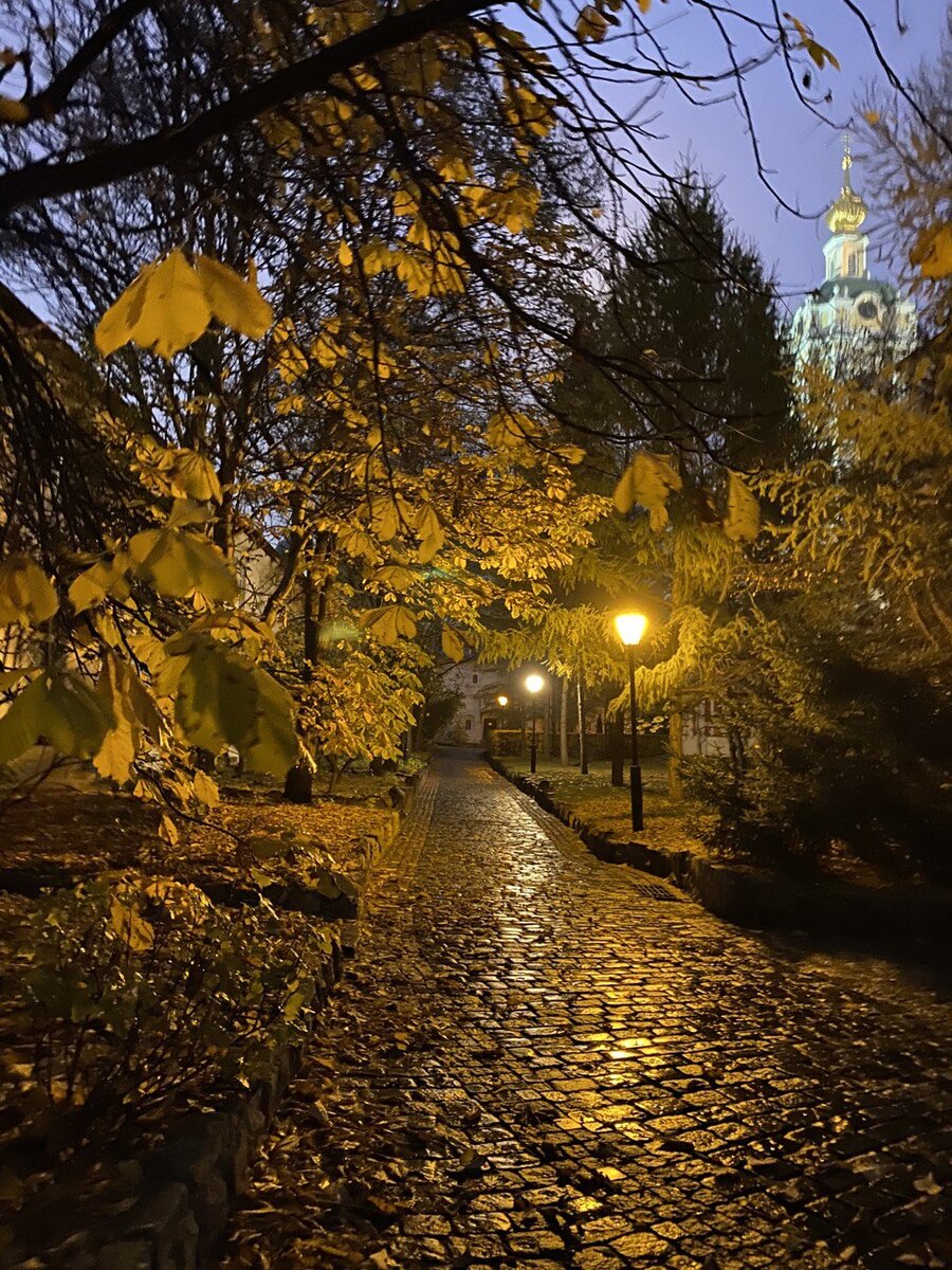 Новоспасский монастырь