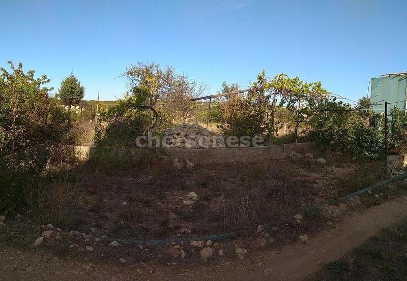 Купить участок в Севастополе. ✅Продажа 9,12 сот. СТ Автомобилист Юхарина балка Гагаринский район