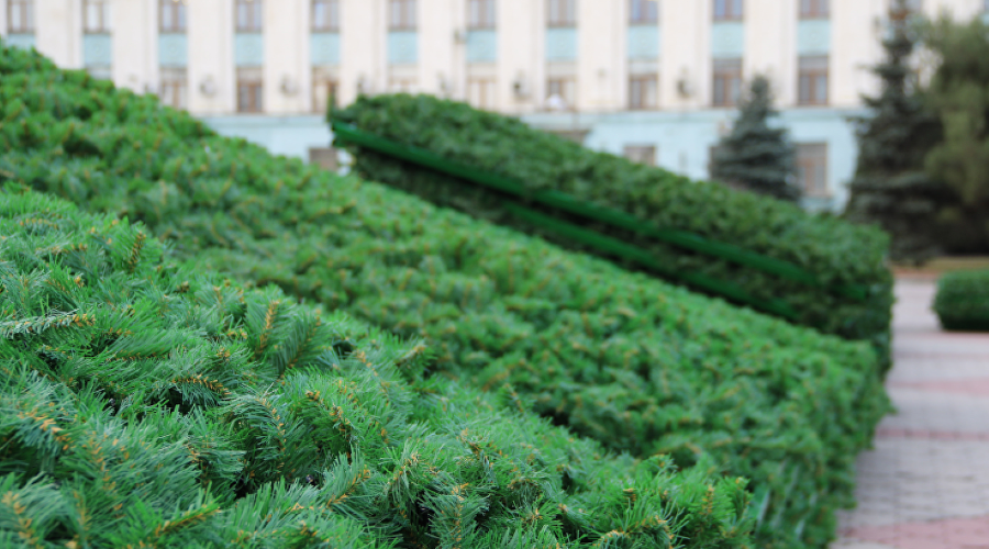 Монтаж новогодней елки в Симферополе / Фото с сайта администрации города