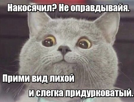 Сделано в "Кот с вами".