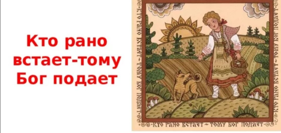 Фото из интернета 