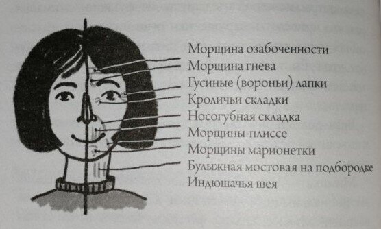 Автор книги - дерматолог, поэтому сомневаться в правдивости материала нет никаких шансов.
В книге раскрываются такие темы как...-2