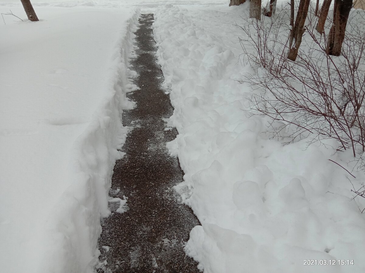 Сколько в жизни дорог и дорожек...  Фото автора канала