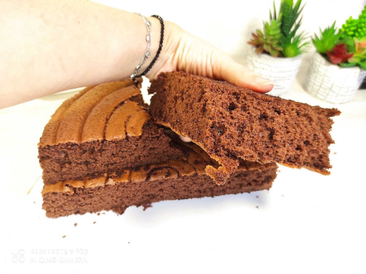 Шоколадный бисквит для торта пышный и простой в духовке – пошаговый рецепт с фото | ТестоВед