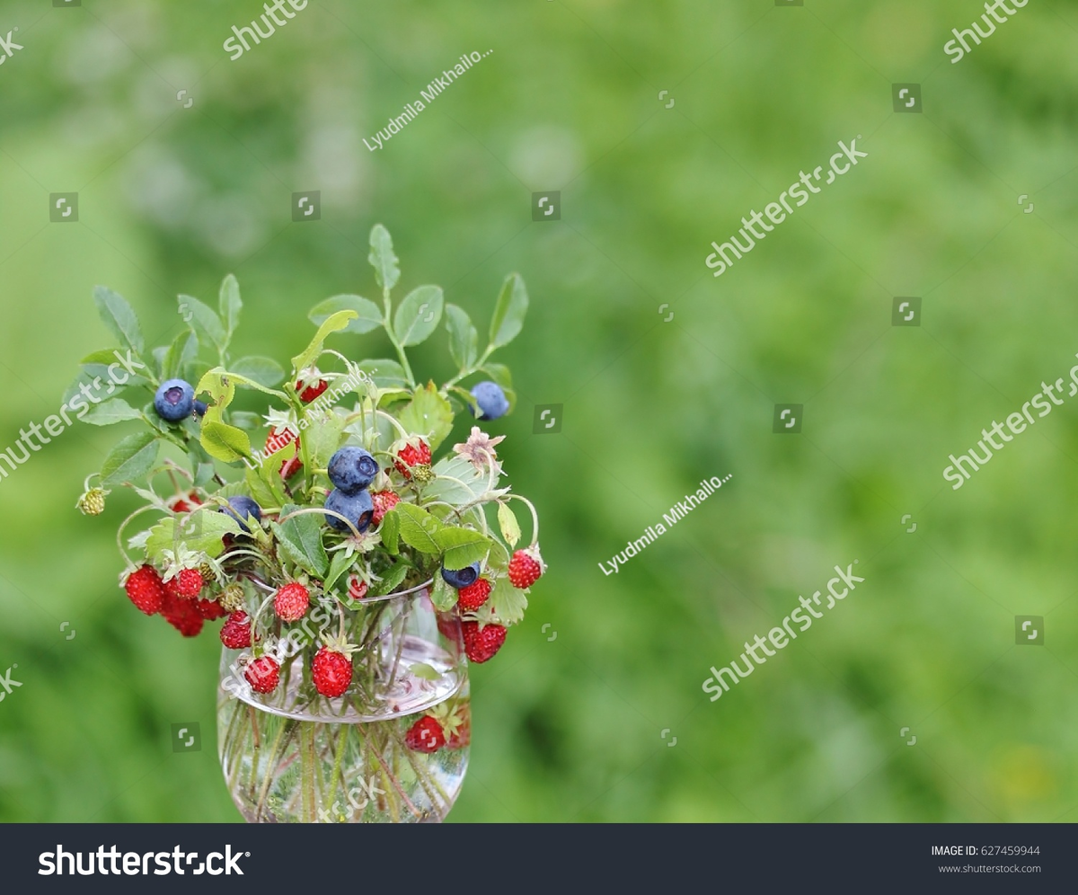 фото автора  #стоковоефото в личном #портфолио.