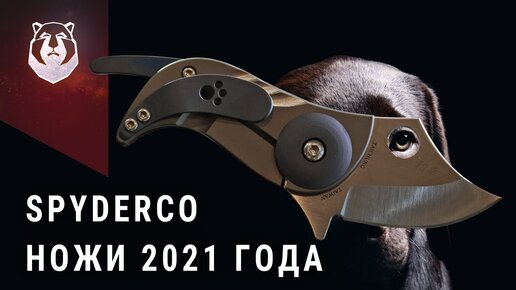 Какой нож выбрать в 2021 году. Spyderco