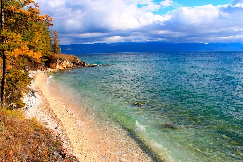 Источник: Google картинки