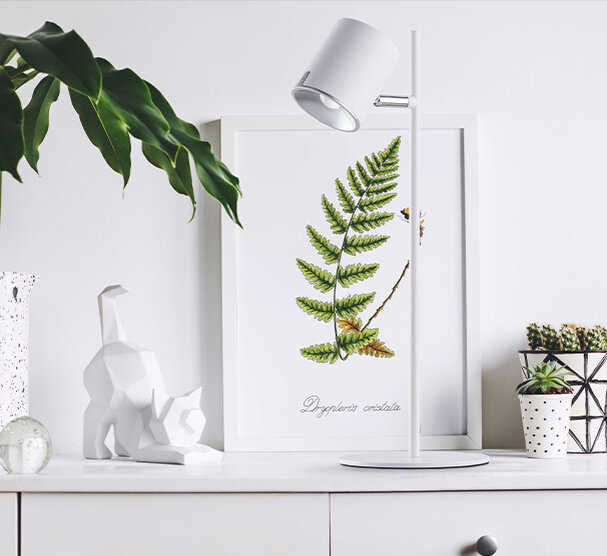 Настольная лампа Эдгар 408032201