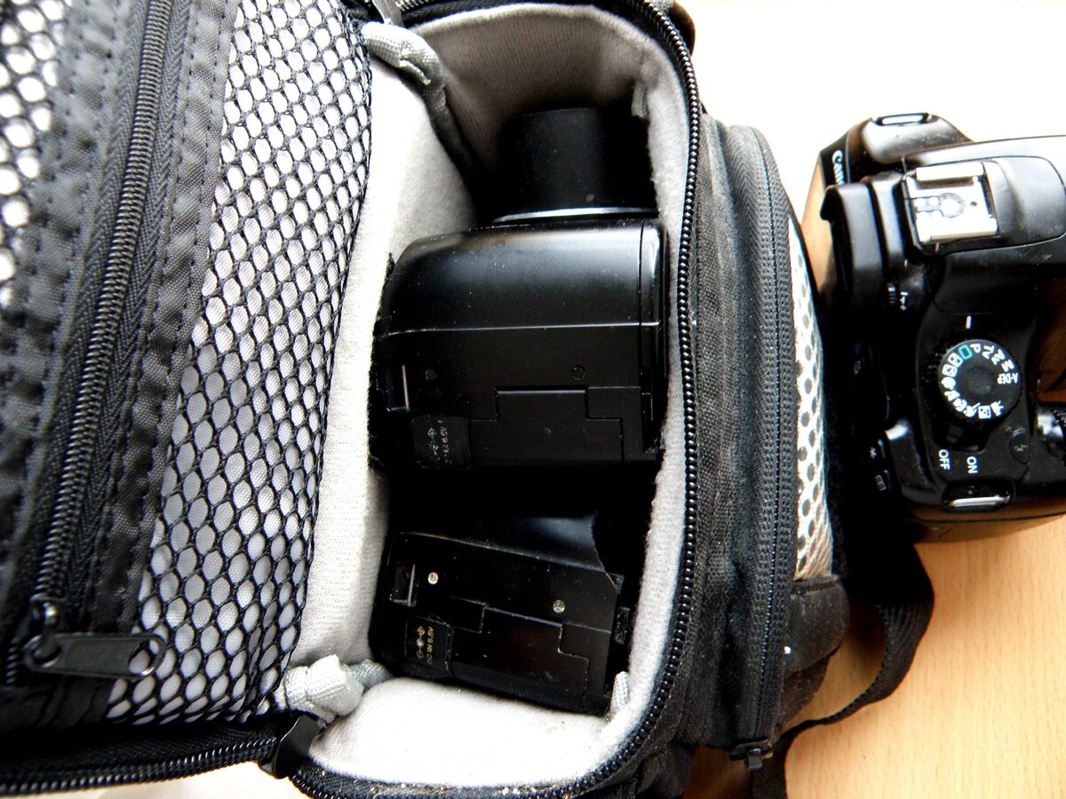 Фотоаппараты. Фото автора.