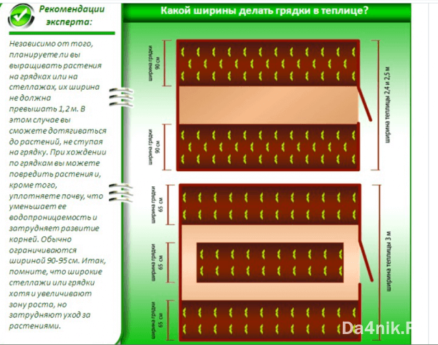 Делаем правильные грядки в теплице из поликарбоната для хорошего урожая - Журнал Дачника