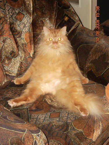 Мое выражение лица когда одежда стала мала