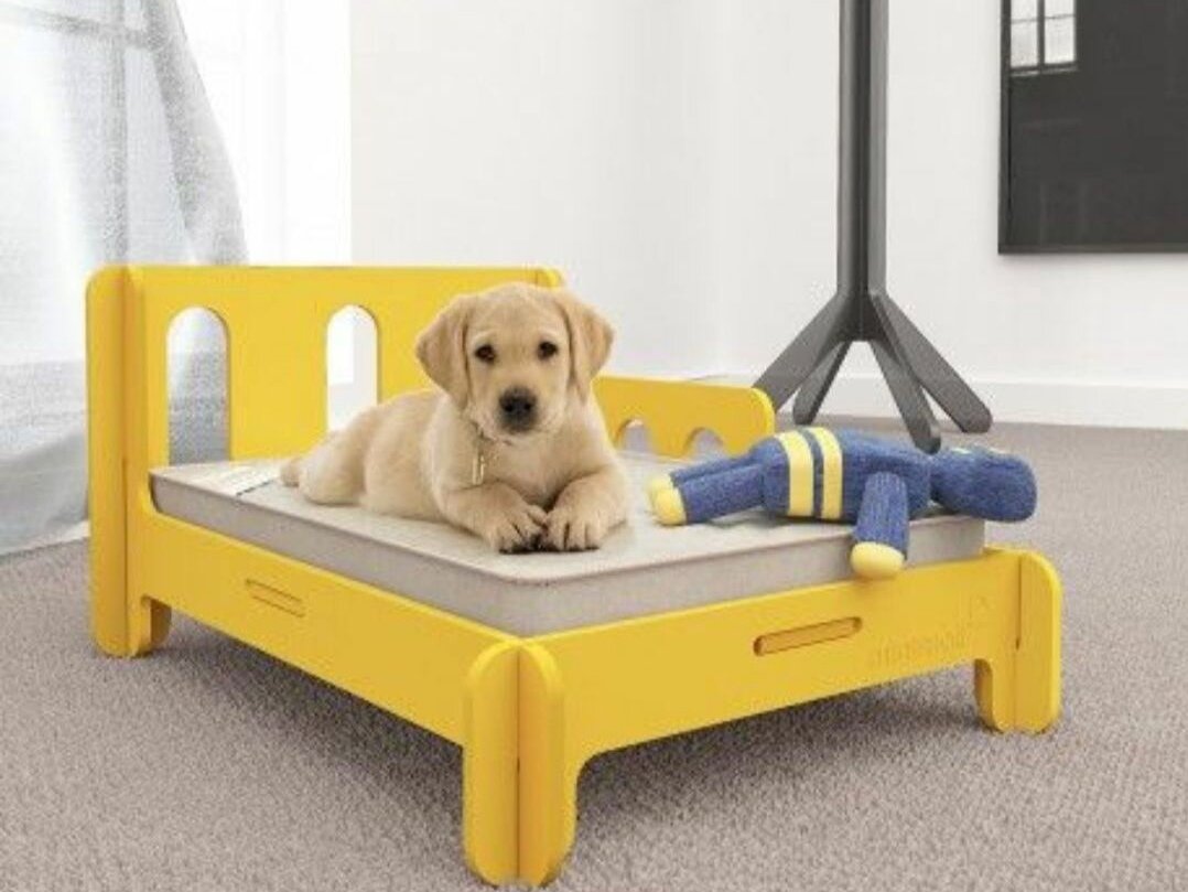 Фото Яндекс. Картинки.