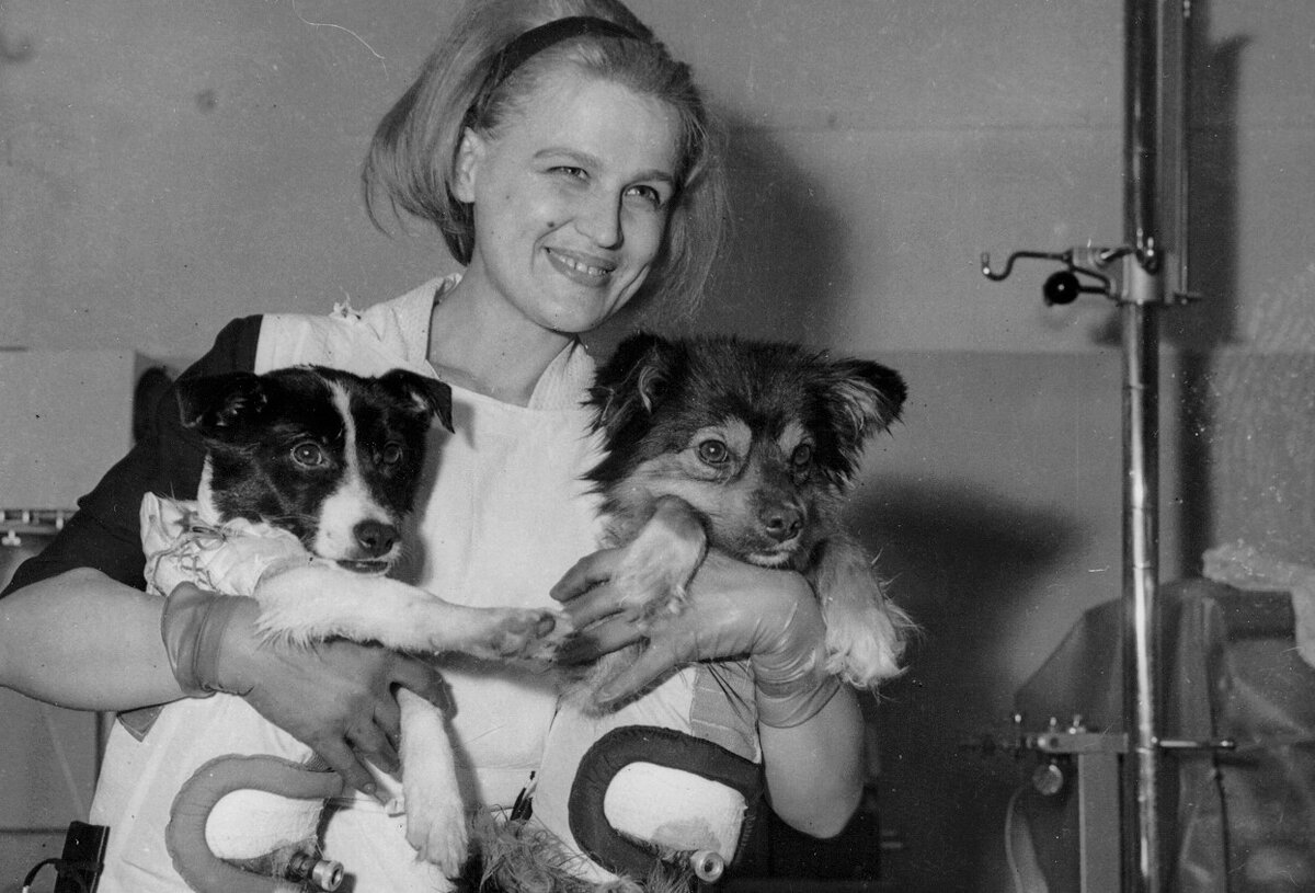 Из архива ИМБП РАН